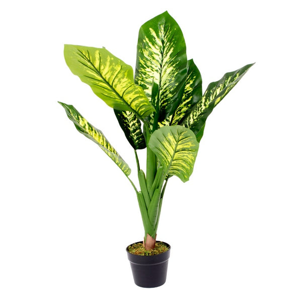 HOME Planta Con Macetera  Verde /Blanco