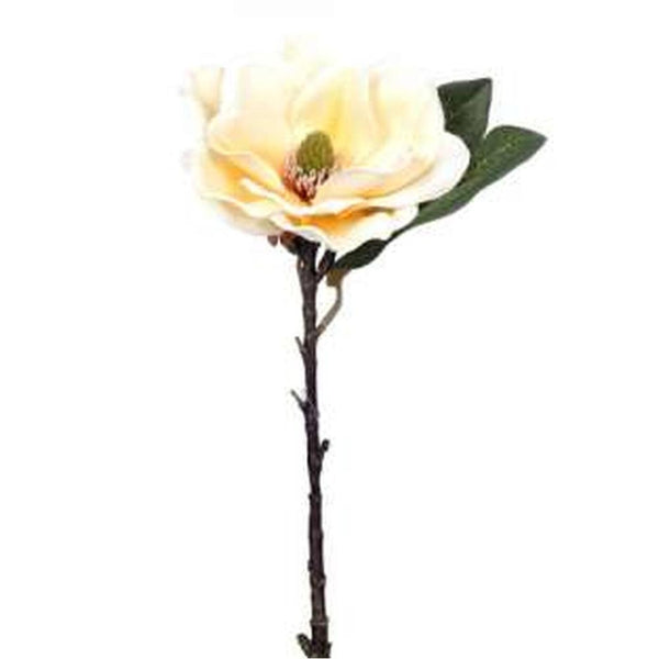 HOME Flor Magnolia  deco Crema