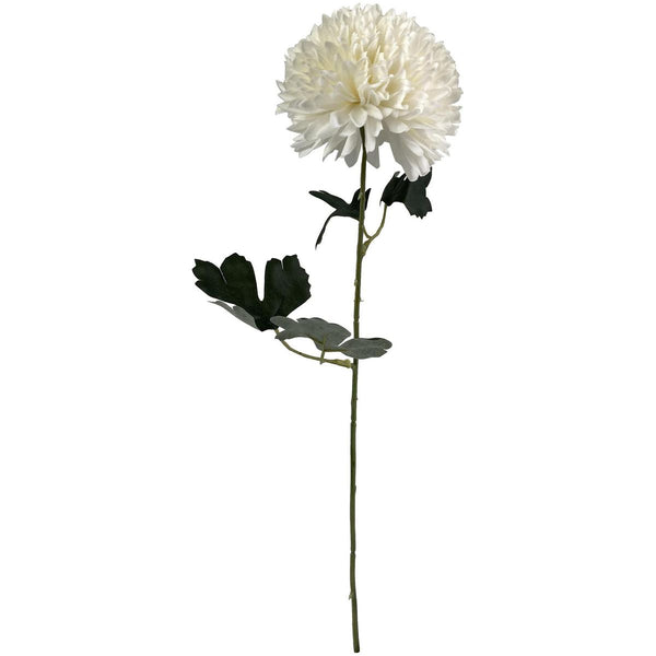 HOME Flor Pelota Acacia Blanca