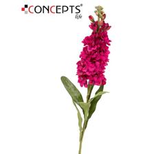 HOME Flor jacinto fusia