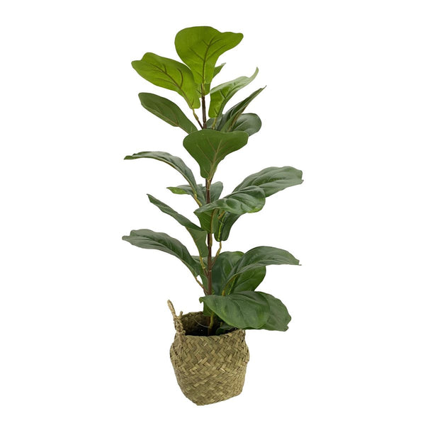 HOME Planta Con Macetera Artsy  Verde 66cm