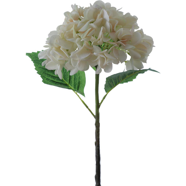 HOME Rama hortensia blanca