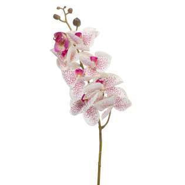 HOME Flor orquidea rosado