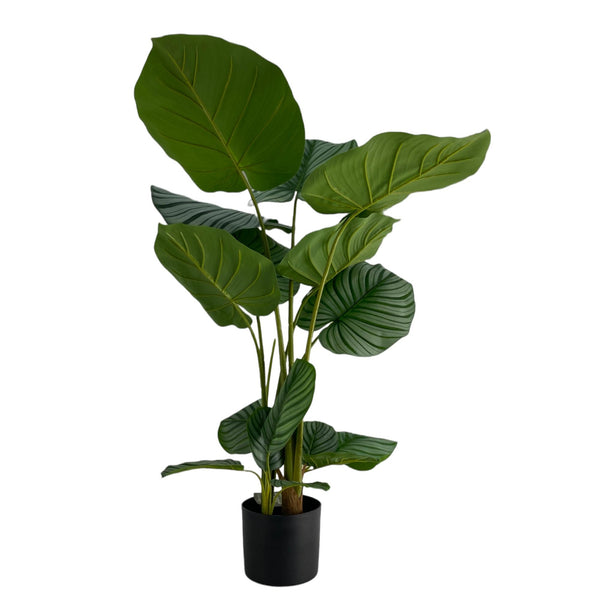HOME Planta macetera Treasure Verde 100cm