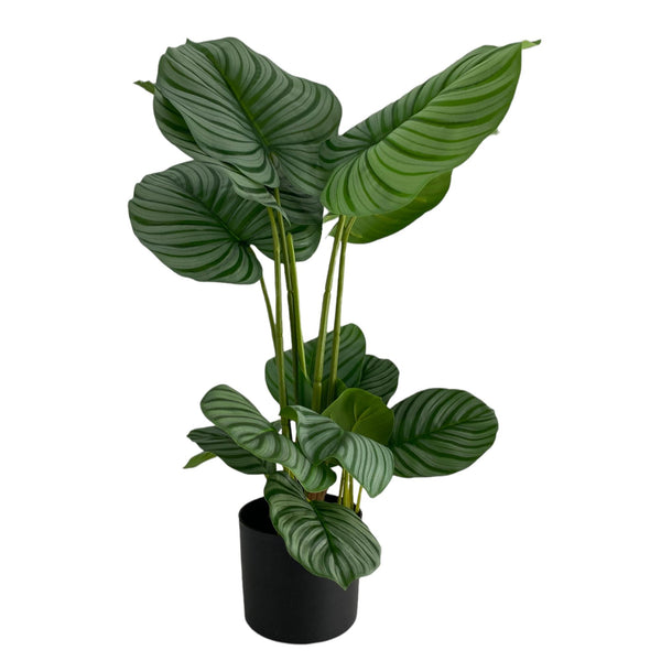 HOME Planta  con Macetera Trreasure Verde
