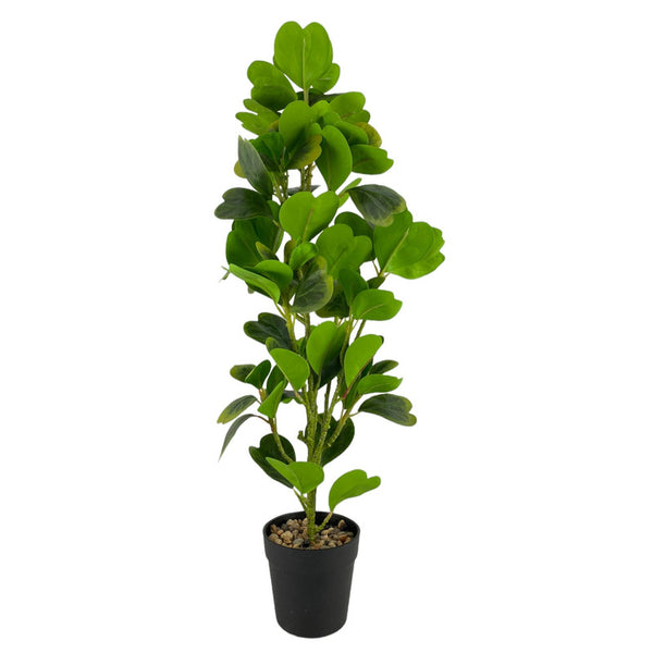 HOME Planta con Macetera Amberlight Verde