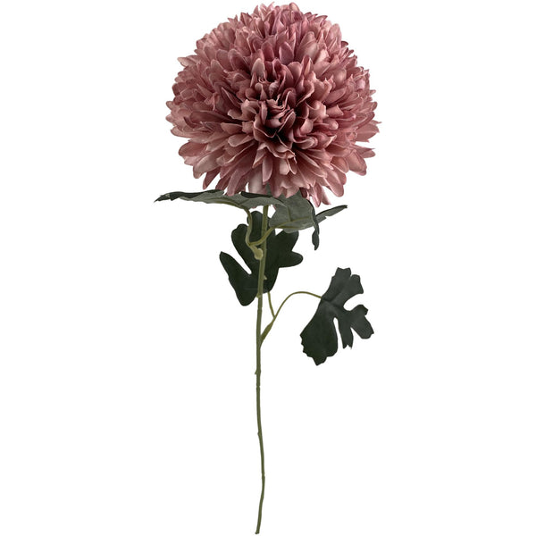 HOME Flor Pelota  Acacia Rosa