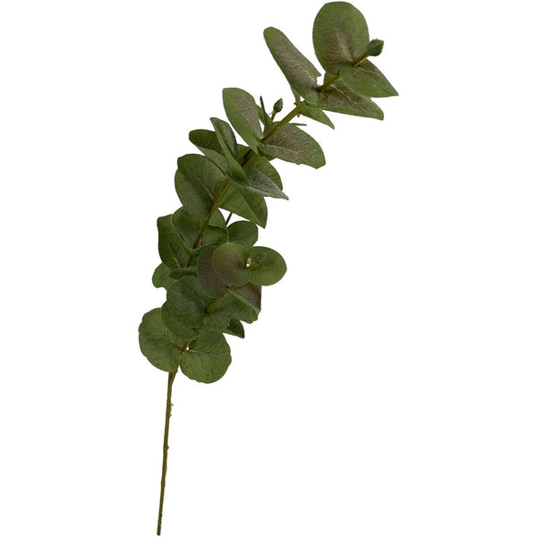 HOME Rama para relleno Verde