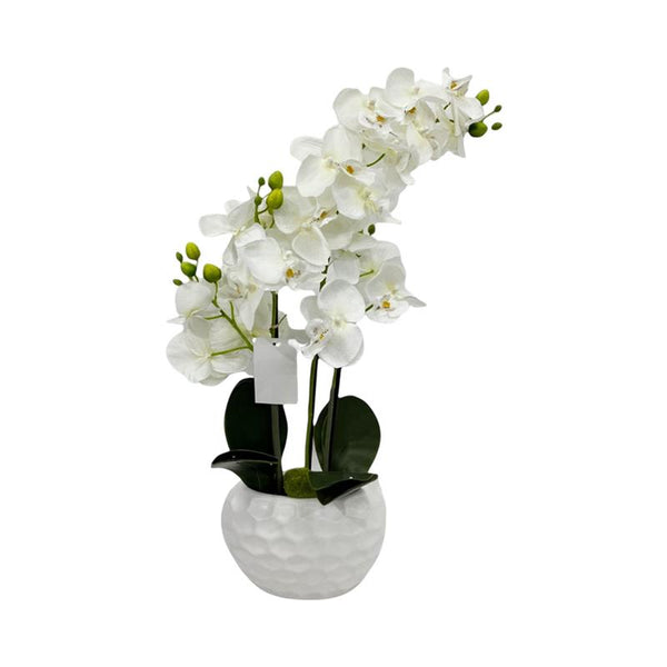 HOME Flor orquidea con macetera